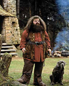 Rubeus Hagrid, from the Harry Potter book series, is the world's most famous Green Man. 